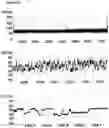 Fig. 32 - Method of improving the movement of a target polynucleotide with respect to a transmembrane pore