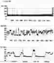 Fig. 33 - Method of improving the movement of a target polynucleotide with respect to a transmembrane pore