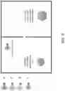 Fig. 07 - Systems and methods for writing, reading, and controlling data stored in a polymer