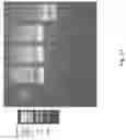 Fig. 38 - Systems and methods for writing, reading, and controlling data stored in a polymer