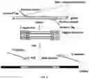 Fig. 04 - Methods and compositions for DNA profiling