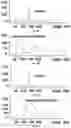 Fig. 05 - Methods and compositions for DNA profiling