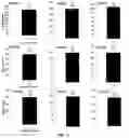Fig. 19 - Methods and compositions for DNA profiling