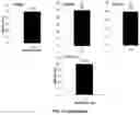 Fig. 20 - Methods and compositions for DNA profiling