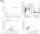 Fig. 03 - Methods of detecting insulator dysfunction and oncogene activation for screening, diagnosis and treatment of patients in need thereof