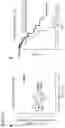 Fig. 07 - Methods of detecting insulator dysfunction and oncogene activation for screening, diagnosis and treatment of patients in need thereof