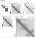 Fig. 08 - Methods of detecting insulator dysfunction and oncogene activation for screening, diagnosis and treatment of patients in need thereof