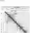 Fig. 16 - Methods of detecting insulator dysfunction and oncogene activation for screening, diagnosis and treatment of patients in need thereof
