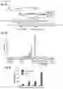 Fig. 08 - NcRNA and uses thereof