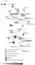 Fig. 65 - NcRNA and uses thereof