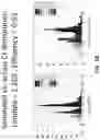 Fig. 19 - SYSTEM AND METHOD FOR DETERMINING COPIES-PER-UNIT-VOLUME USING PCR AND FLOW CONTROL OF DROPLETS