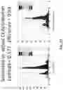 Fig. 22 - SYSTEM AND METHOD FOR DETERMINING COPIES-PER-UNIT-VOLUME USING PCR AND FLOW CONTROL OF DROPLETS