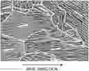 Fig. 01 - Steel wire and wire rod