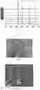Fig. 03 - Method for anti-corrosion treatment of metallic copper-containing materials