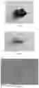 Fig. 08 - Method for anti-corrosion treatment of metallic copper-containing materials