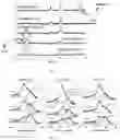 Fig. 06 - Materials for ammonia synthesis