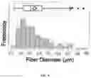Fig. 11 - Electrospun nanofibers