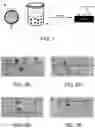 Fig. 02 - Super-hydrophobic fabric and preparation method thereof