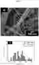 Fig. 06 - CELLULOSE NANOFIBER, SHEET-LIKE MATERIAL OBTAINED THEREFROM, AND METHOD FOR PRODUCING CELLULOSE NANOFIBER AND SHEET-LIKE MATERIAL