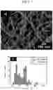 Fig. 08 - CELLULOSE NANOFIBER, SHEET-LIKE MATERIAL OBTAINED THEREFROM, AND METHOD FOR PRODUCING CELLULOSE NANOFIBER AND SHEET-LIKE MATERIAL