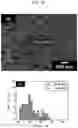 Fig. 09 - CELLULOSE NANOFIBER, SHEET-LIKE MATERIAL OBTAINED THEREFROM, AND METHOD FOR PRODUCING CELLULOSE NANOFIBER AND SHEET-LIKE MATERIAL