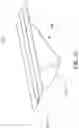Fig. 14 - Faux rafter tail