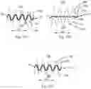 Fig. 18 - Deformed Web Materials