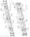 Fig. 03 - Erected platform and method of erecting thereof