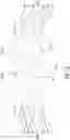 Fig. 03 - LATCHABLE SCAFFOLD PLANKS