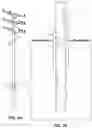 Fig. 02 - SYSTEM, METHOD AND APPARATUS FOR SERVICING SUPPORT POLES