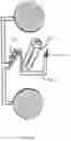 Fig. 08 - Ladder Carrying Device