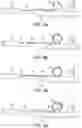 Fig. 04 - Subsea riser systems