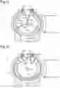 Fig. 08 - Apparatus and method for cooling engine