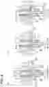 Fig. 05 - Fuel injection valve