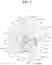 Fig. 03 - Vane rotary compressor