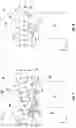 Fig. 08 - Engine casing treatment for reducing circumferentially variable distortion