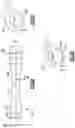 Fig. 05 - Drive shafts with enhanced bending flexibility