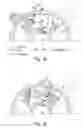 Fig. 04 - Rolling bearing