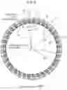 Fig. 07 - Sliding parts