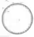 Fig. 01 - WET FRICTION PLATE