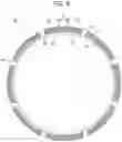 Fig. 06 - WET FRICTION PLATE