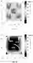 Fig. 08 - Active inertial damper system and method