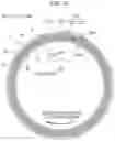 Fig. 11 - Sliding component