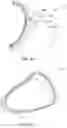 Fig. 25 - A NON-RETURN VALVE