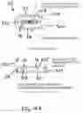Fig. 13 - Portable light having a movable head and assembly method