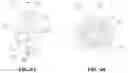 Fig. 05 - Burners and methods for use thereof