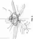 Fig. 02 - Misting fan