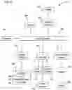 Fig. 05 - System and method for controlling building fluid distribution
