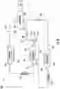 Fig. 06 - Fast switching multiple evaporator system for an appliance