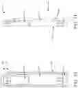 Fig. 08 - Bolt action firearm receiver assemblies